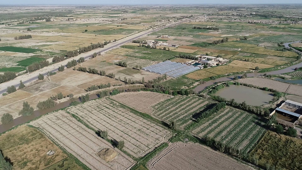 سند تک برگی برای ۱۱ هزار هکتار از اراضی کشاورزی منطقه سیستان صادر شد