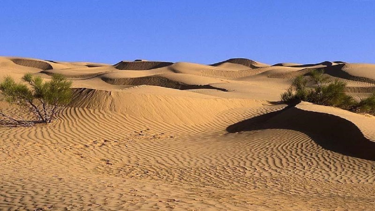 ۳۰ هزار هکتار از عرصه‌های ملی قم بیابان شد