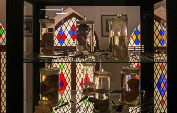 عمارت دهدشتی؛ موزه تاریخ پزشکی خلیج فارس