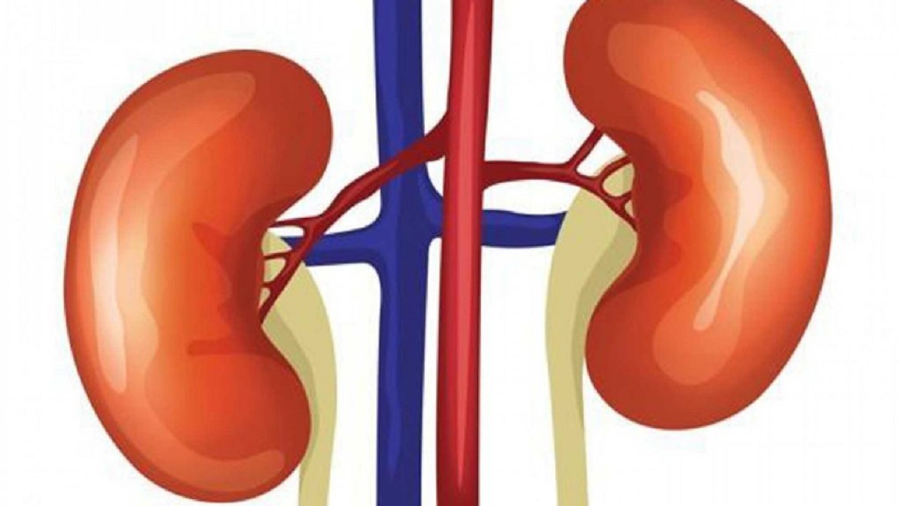 علائم دفع پروتئین از کلیه‌ها به عنوان اولین نشانه عارضه کلیوی