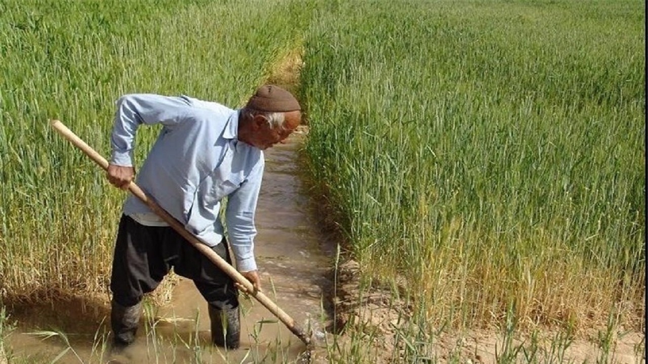 برنامه ریزی برای کاهش کشت آبی در استان قزوین