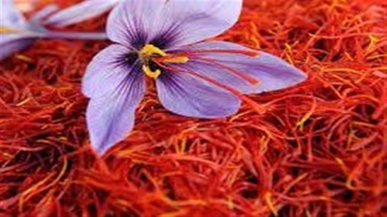 قیمت جدید زعفران اعلام شد