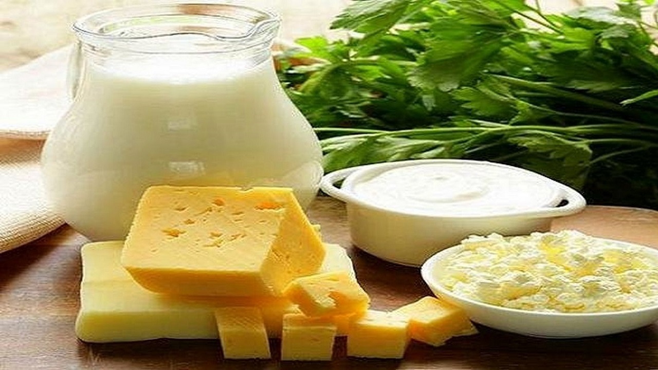 غذا های تخمیر شده