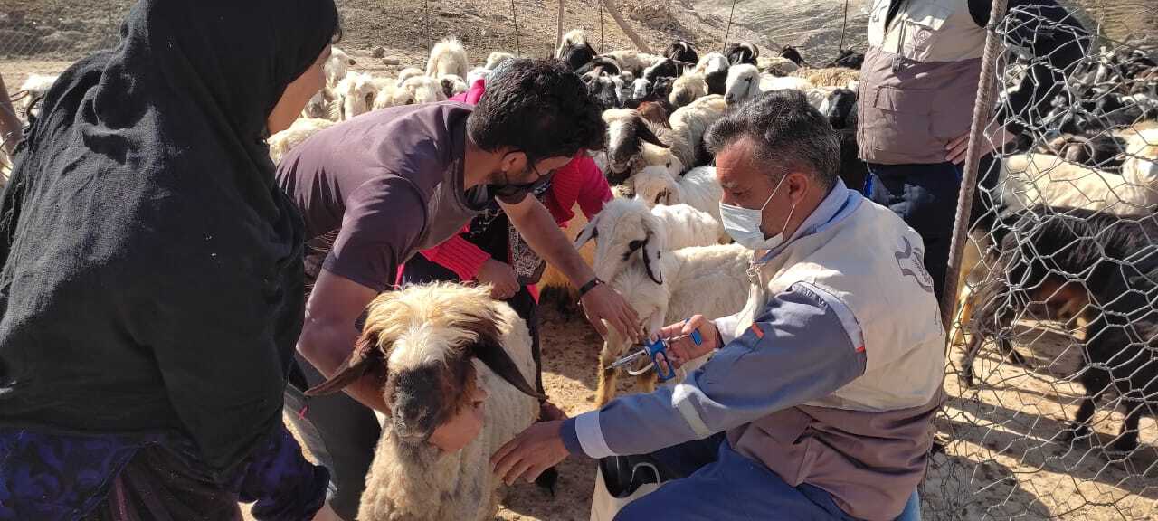 ارائه خدمات لازم از سوی دامپزشکی