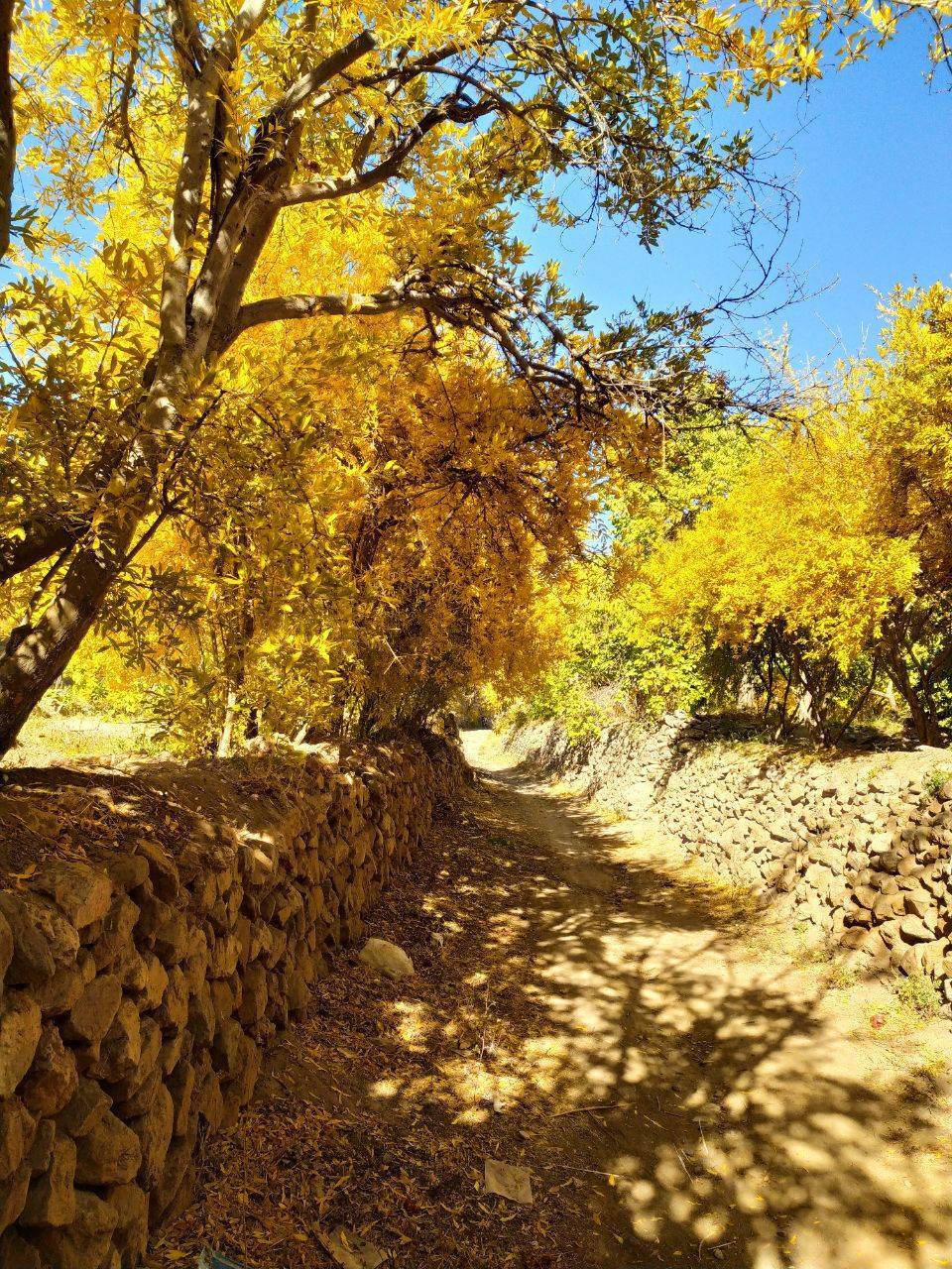 نمایی از طبیعت پاییزی روستای داوران + تصاویر