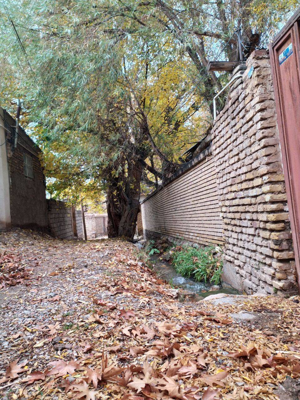 نمایی از طبیعت پاییزی روستای داوران + تصاویر