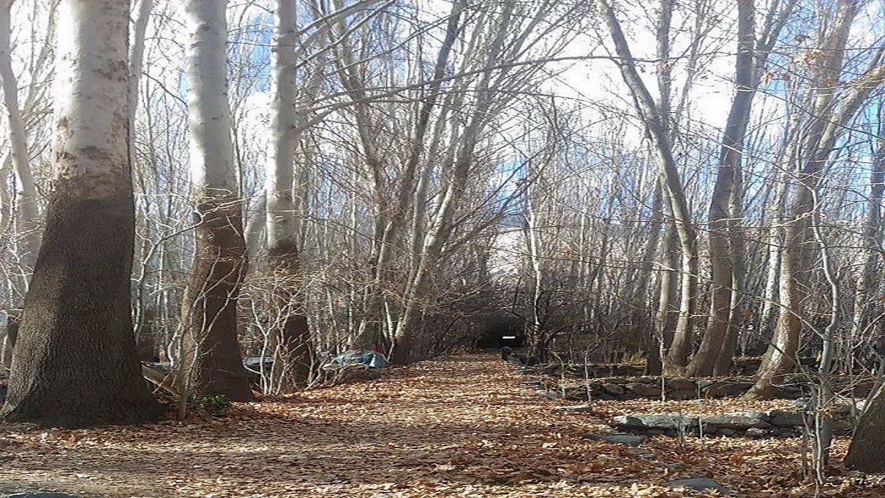 جلوه‌هایی از پاییز در روستای اوره + تصاویر