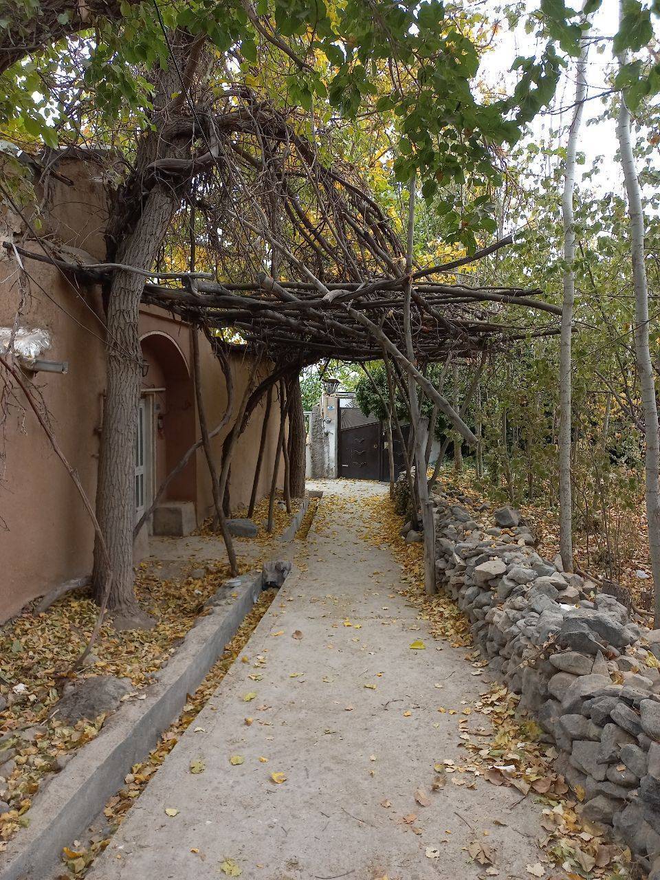 طبیعت پاییز جلوههایی از پاییز در روستای اوره + تصاویر
