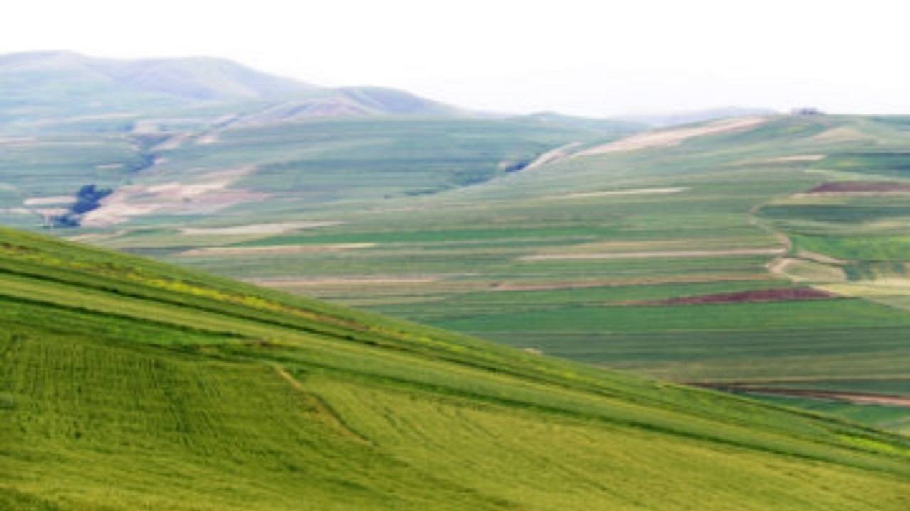 بخشی از طبیعت موران در لنز دوربین شهروند خبرنگار + فیلم