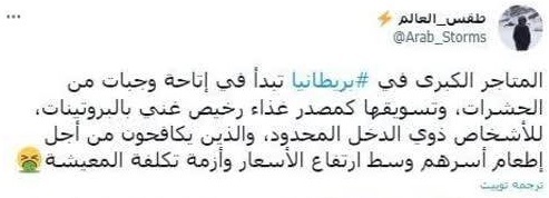 پروتئین حشرات