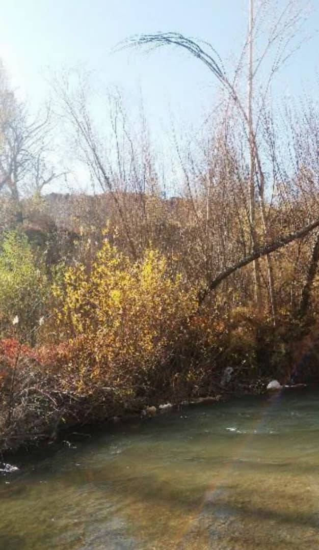 پاییز هزار رنگ این بار در روستای جوشقان + تصاویر