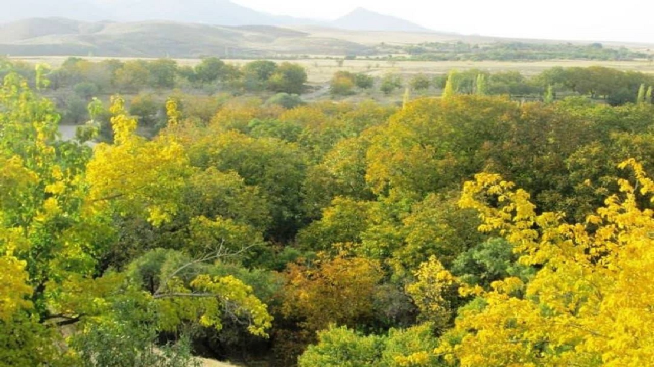 پاییز هزار رنگ این بار در روستای جوشقان + تصاویر