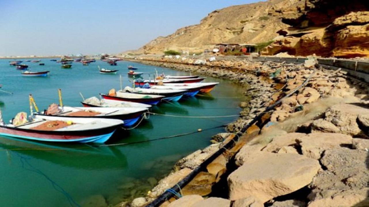 سواحل مکران ظرفیت بالایی در تولید جلبک و خیار دریایی دارد