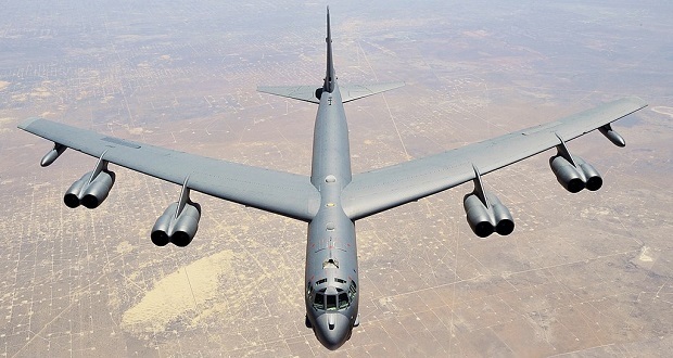 لحظه حمله بمب افکن نیروی هوایی آمریکا به دسته‌ای از پرندگان + فیلم