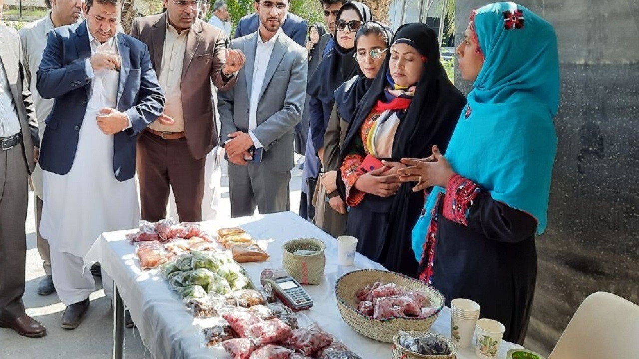افتتاح نمایشگاه گیاهان دارویی در دانشگاه ولایت ایرانشهر