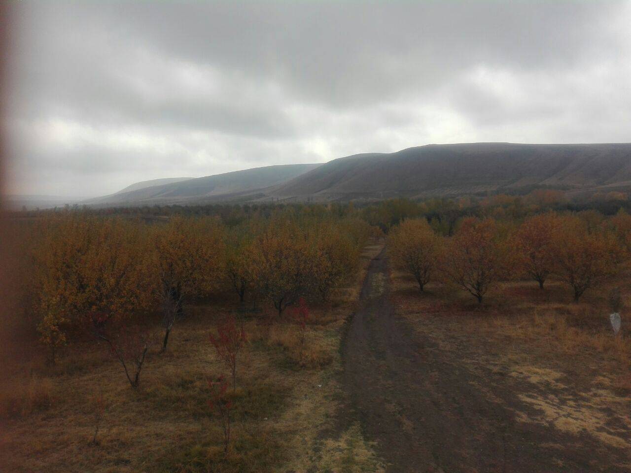 جلوه گری پاییز در روستای نحودآباد در لنز دوربین شهروند خبرنگار + تصاویر