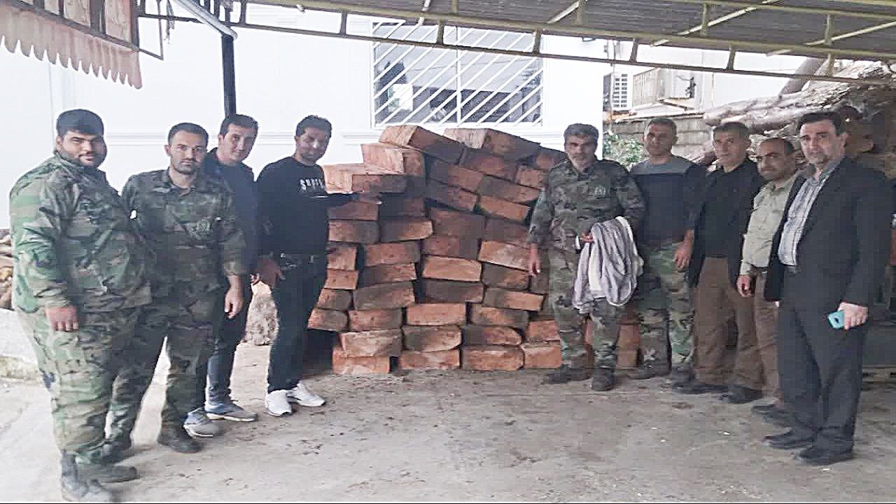 کشف محموله چوب قاچاق در عباس آباد