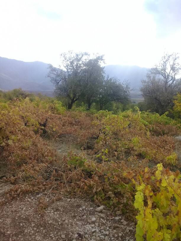 طبیعت پاییزی روستای جغدان را به تماشا بنشینید + تصاویر