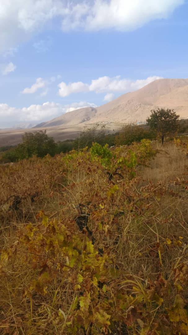 طبیعت پاییزی روستای جغدان را به تماشا بنشینید + تصاویر