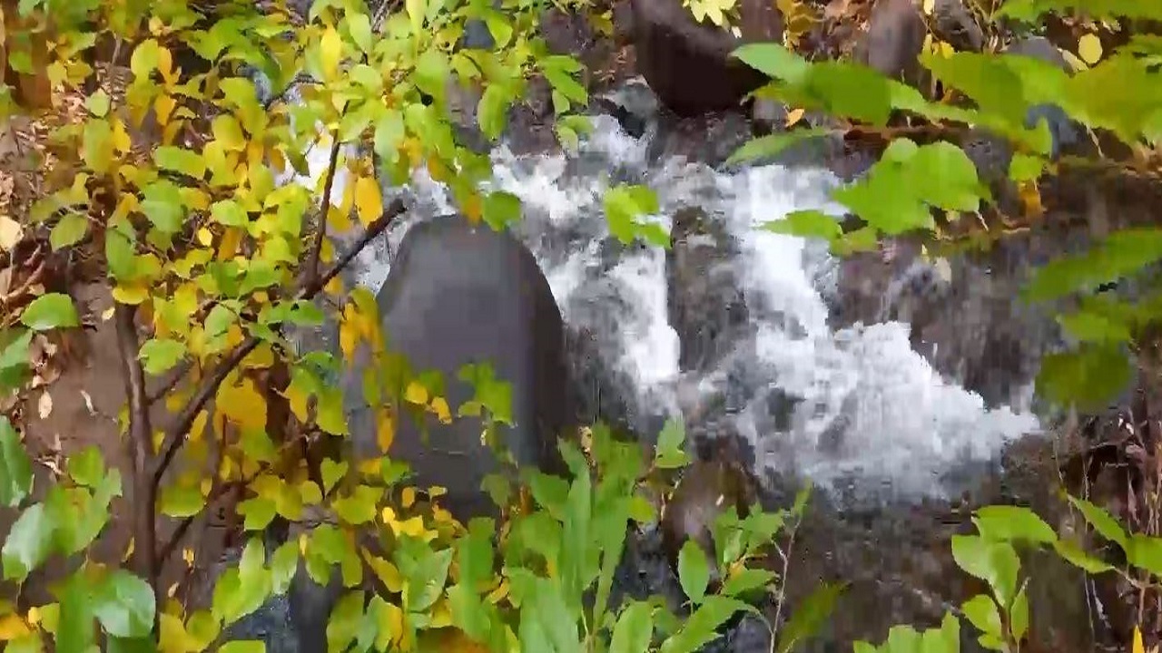 زیبایی فصل هزار رنگ در مراغه