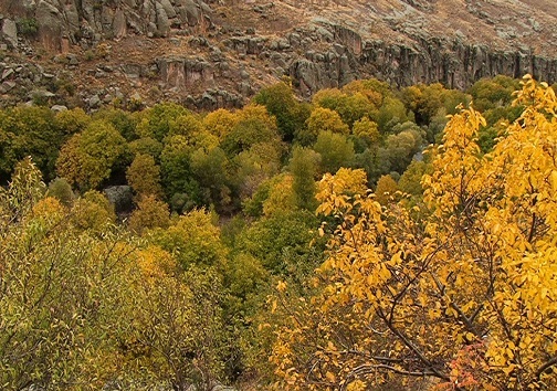 زیبایی فصل هزار رنگ در مراغه