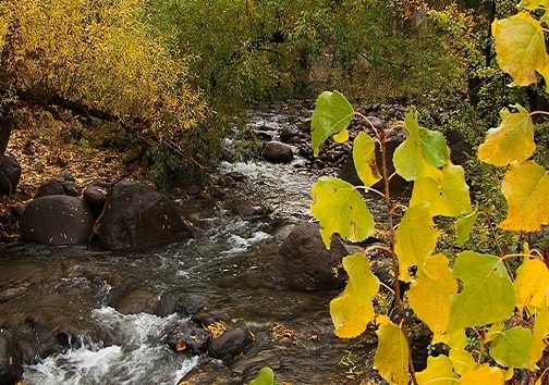 زیبایی فصل هزار رنگ در مراغه