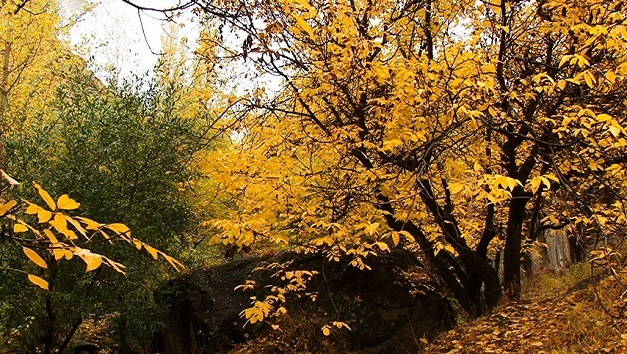 زیبایی فصل هزار رنگ در مراغه
