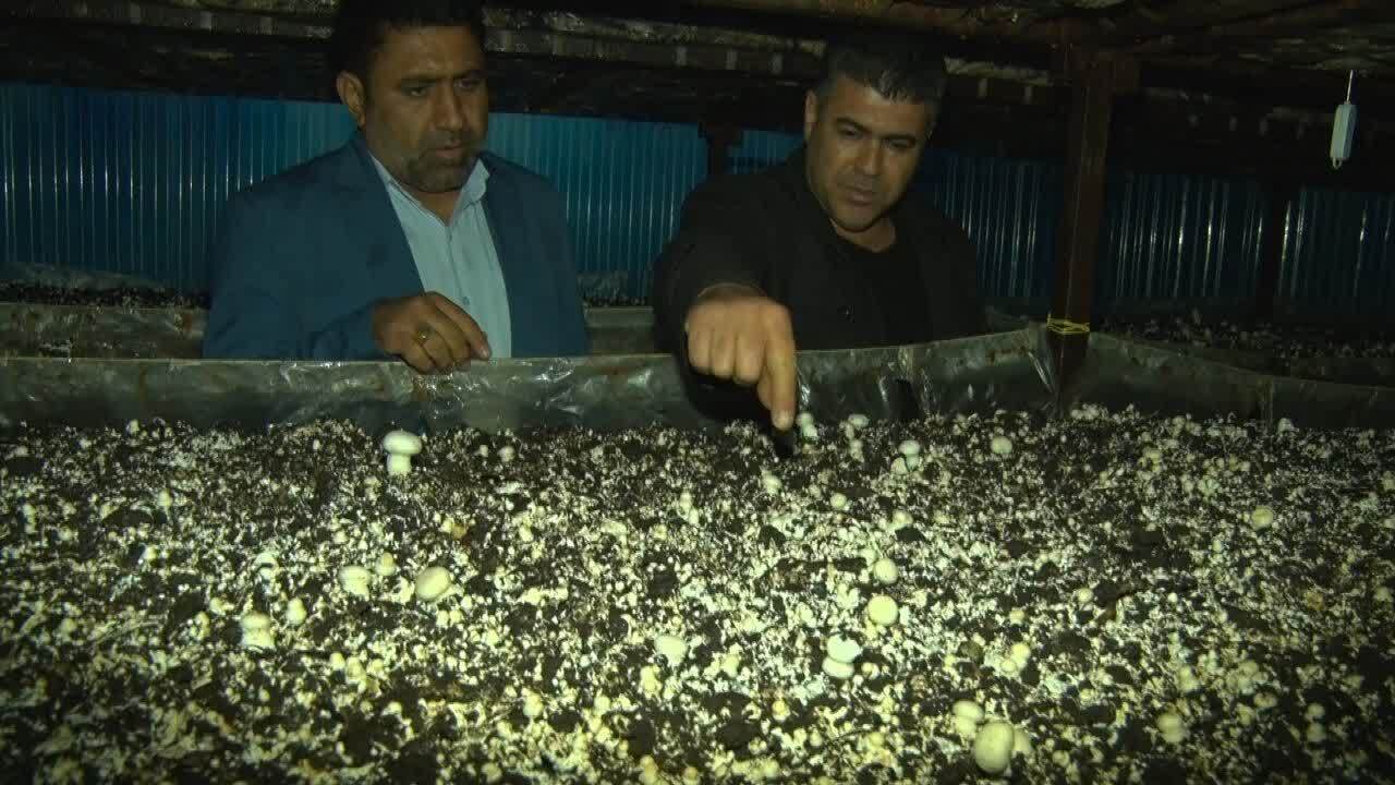 هموار کردن راه کار آفرین‌ها با کمک بسیج