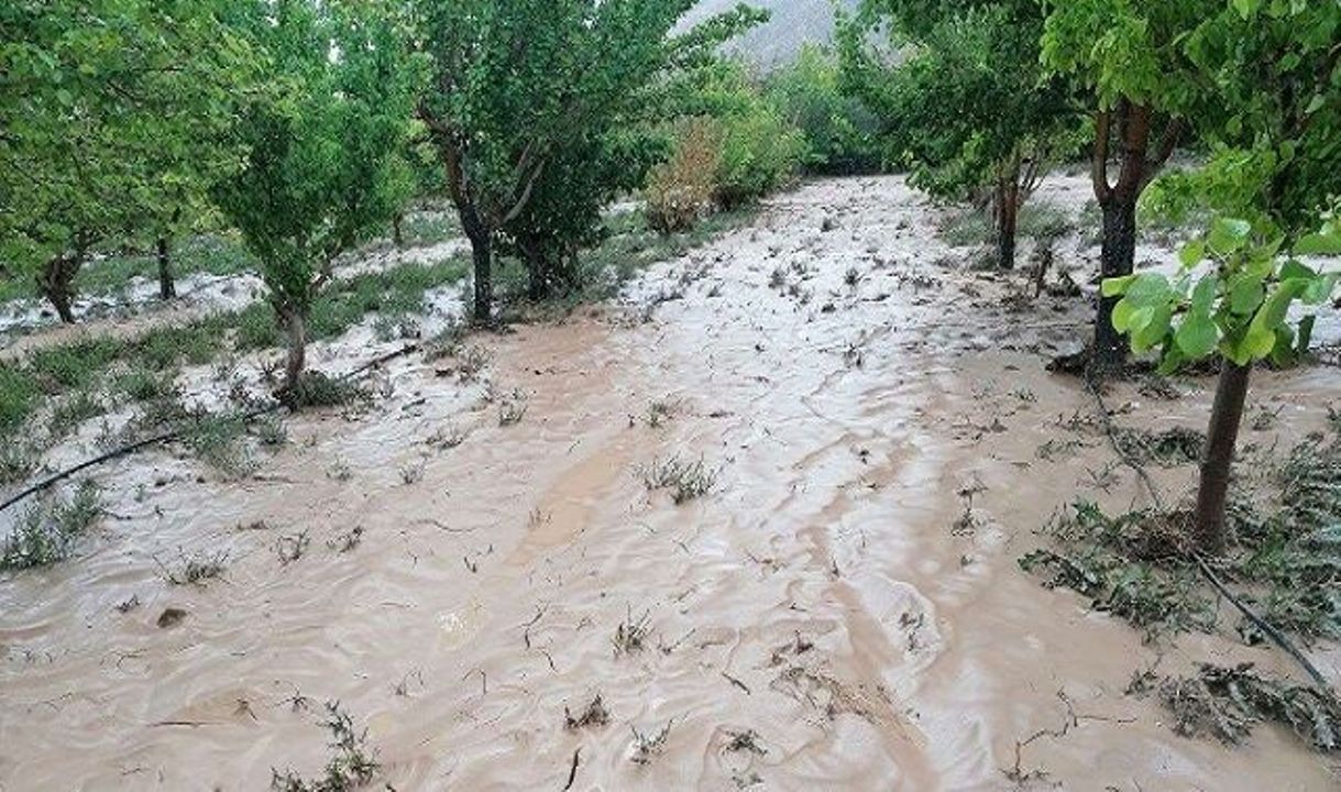 سیل به بیش از ۱۲ هزار هکتار از باغات دزفول خسارت زد