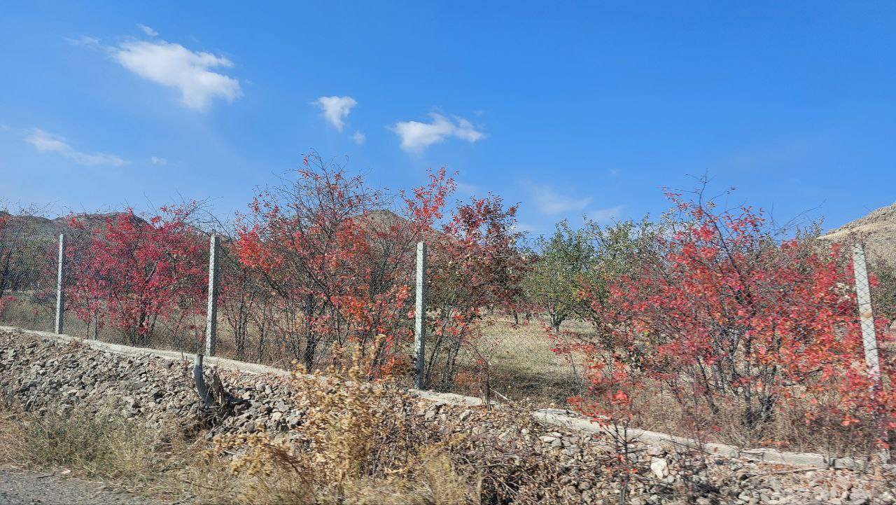 طبیعت پاییزی و درختان رنگارنگ روستای اوچ هاچای در قالب تصاویر