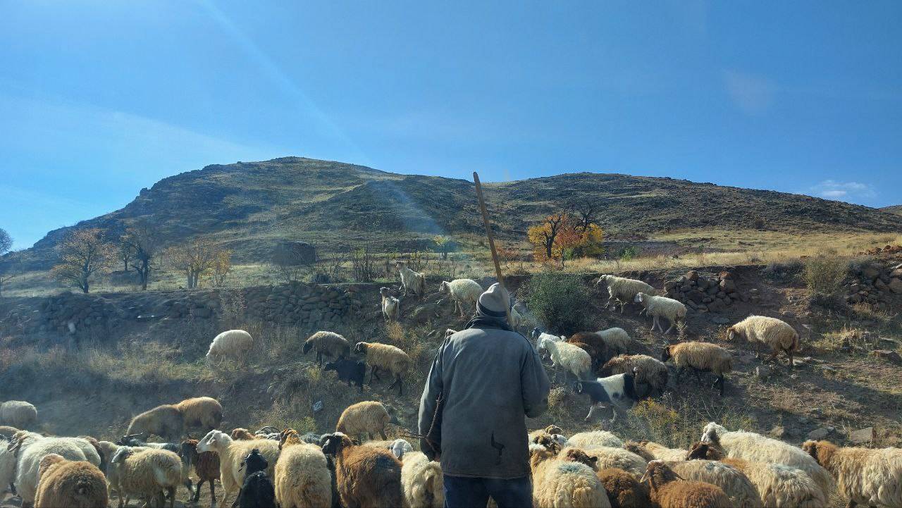 طبیعت پاییزی و درختان رنگارنگ روستای اوچ هاچای در قالب تصاویر