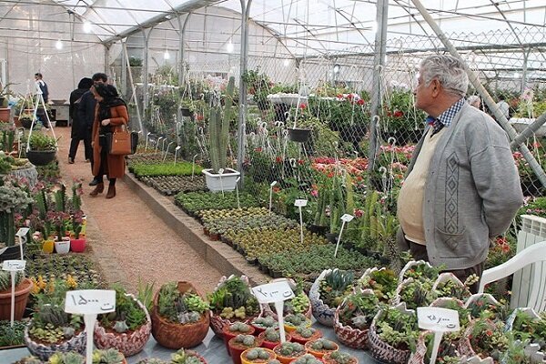 تلاش برای راه‌اندازی ۳ بازار گل و گیاه در سطح و پهنه‌های تهران