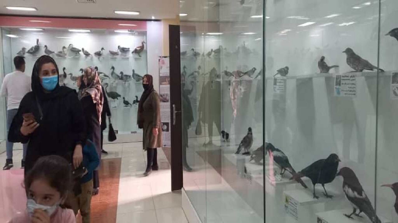 ۱۵ هزار نفر از موزه تاریخ طبیعی آذربایجان غربی بازدید کردند