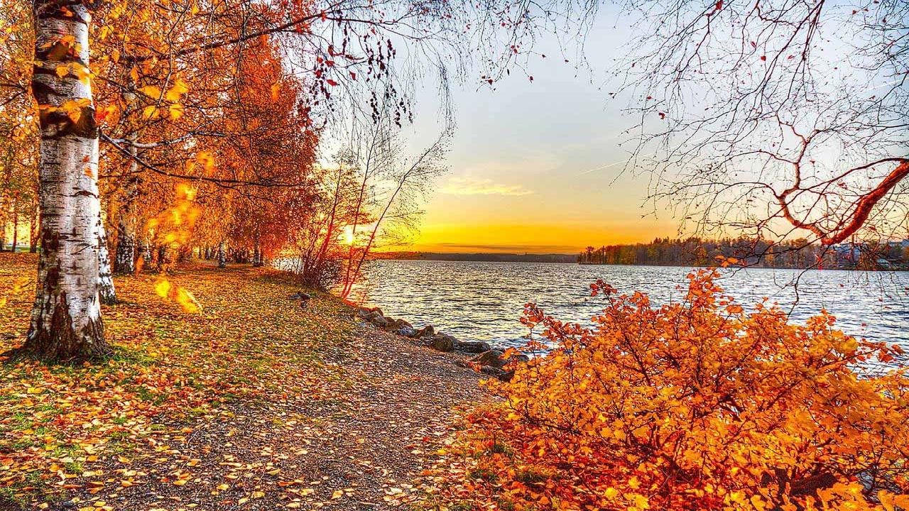 حال و هوای بهاری در دل پاییز گیلان