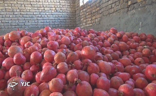 انار