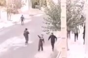 کشته سازی در کامیاران در روز روشن! + فیلم
