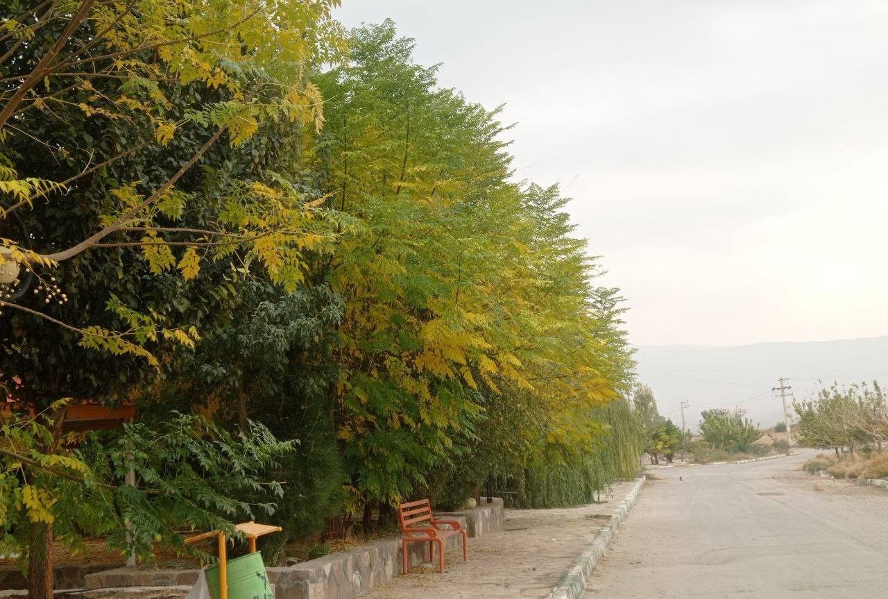 از