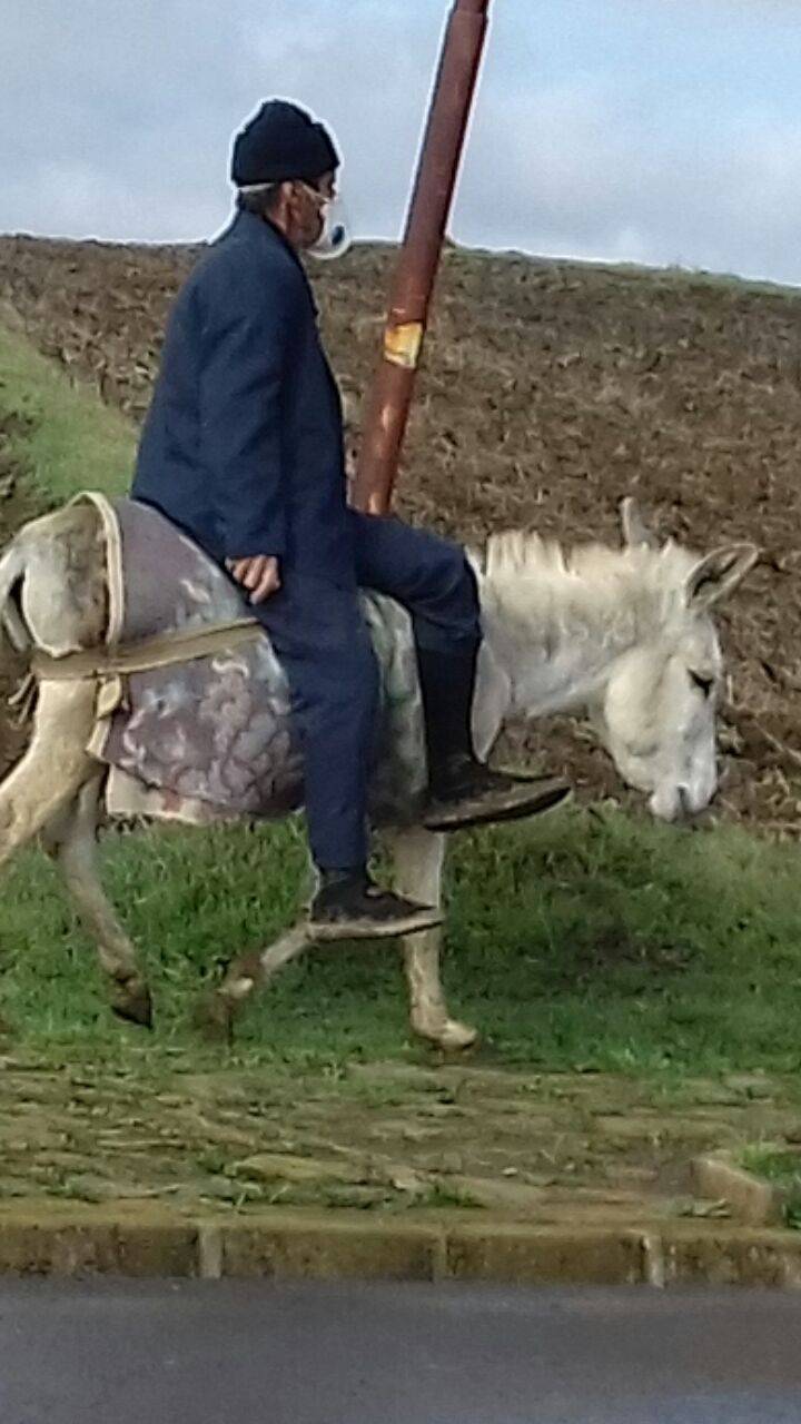 تصاویری که راوی فصل خزان در اقصی نقاط کشور شد
