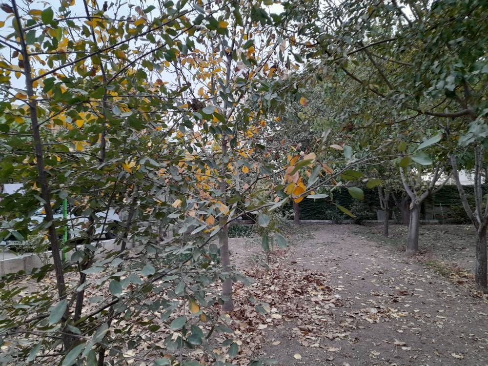 گشت و گذار پاییزی به اقصی نقاط کشور به روایت تصاویر