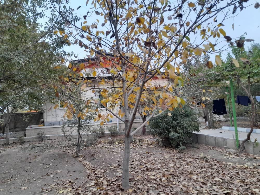 گشت و گذار پاییزی به اقصی نقاط کشور به روایت تصاویر