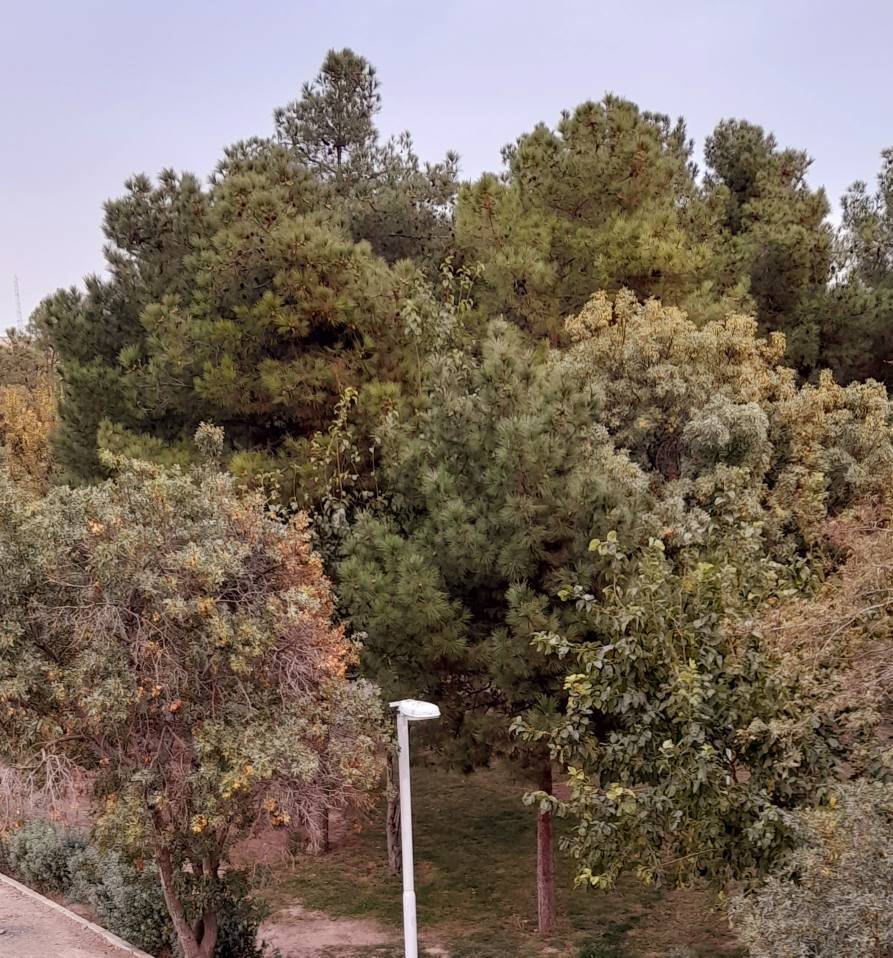 گشت و گذار پاییزی به اقصی نقاط کشور به روایت تصاویر