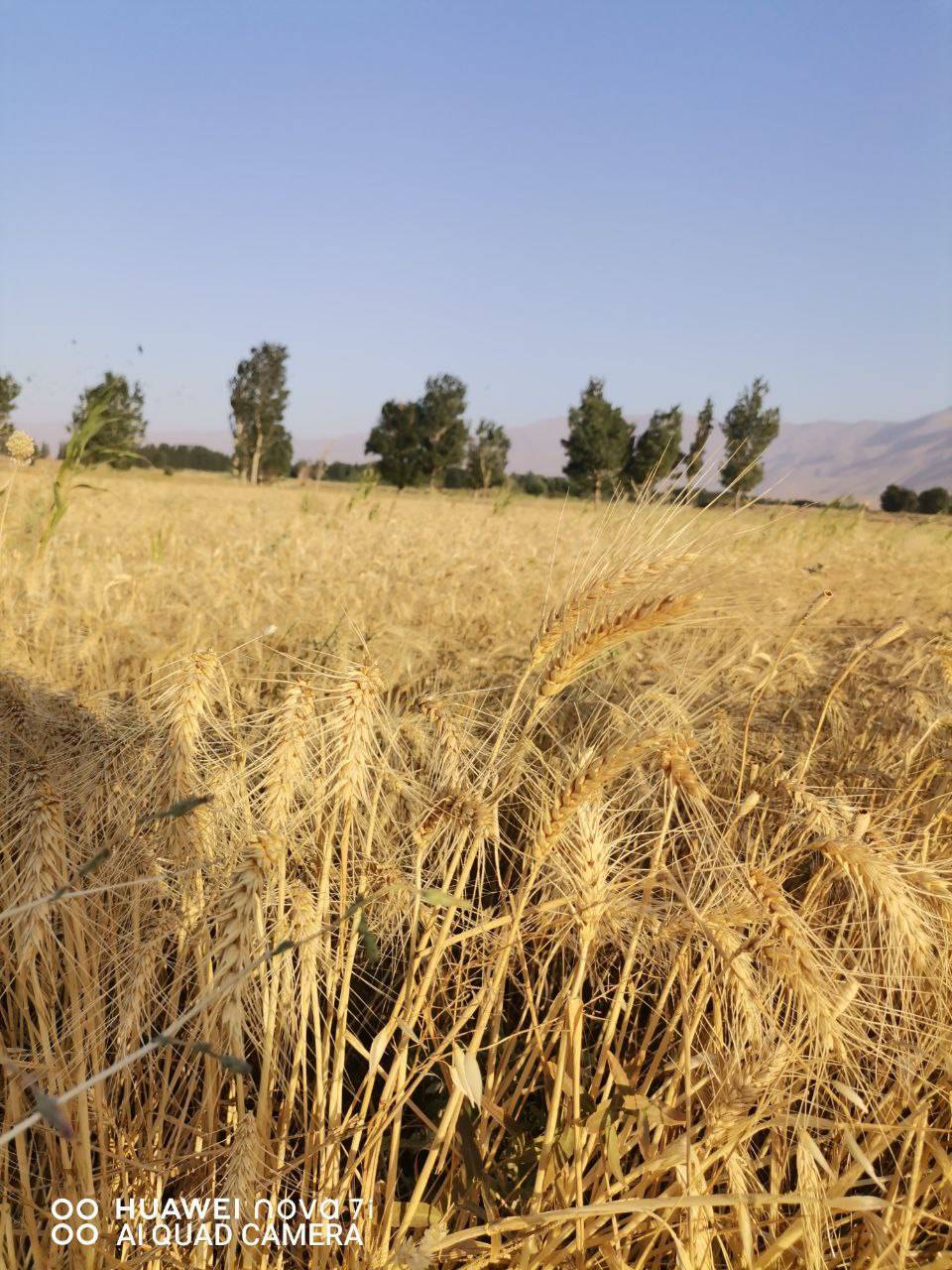 گشت و گذار پاییزی به اقصی نقاط کشور به روایت تصاویر
