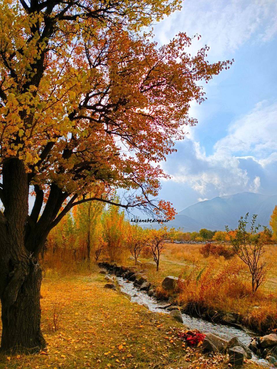 گشت و گذار پاییزی به اقصی نقاط کشور به روایت تصاویر