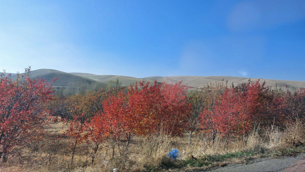 گشت و گذار پاییزی به اقصی نقاط کشور به روایت تصاویر