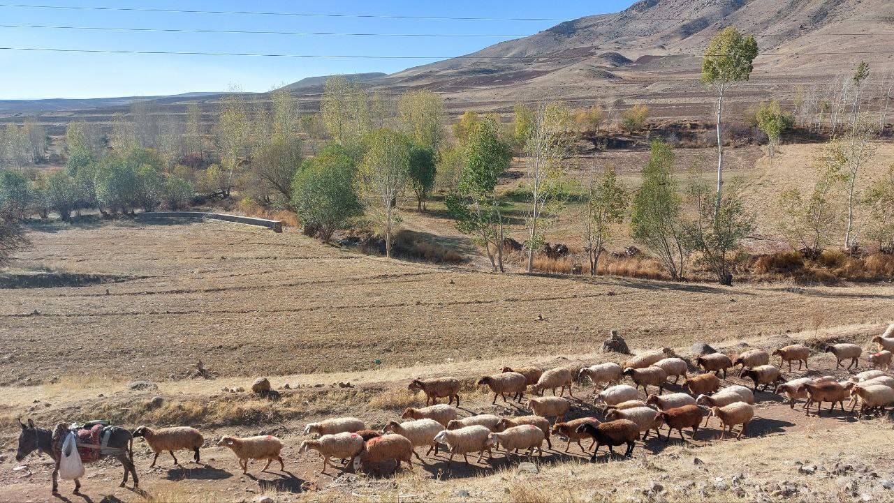 گشت و گذار پاییزی به اقصی نقاط کشور به روایت تصاویر