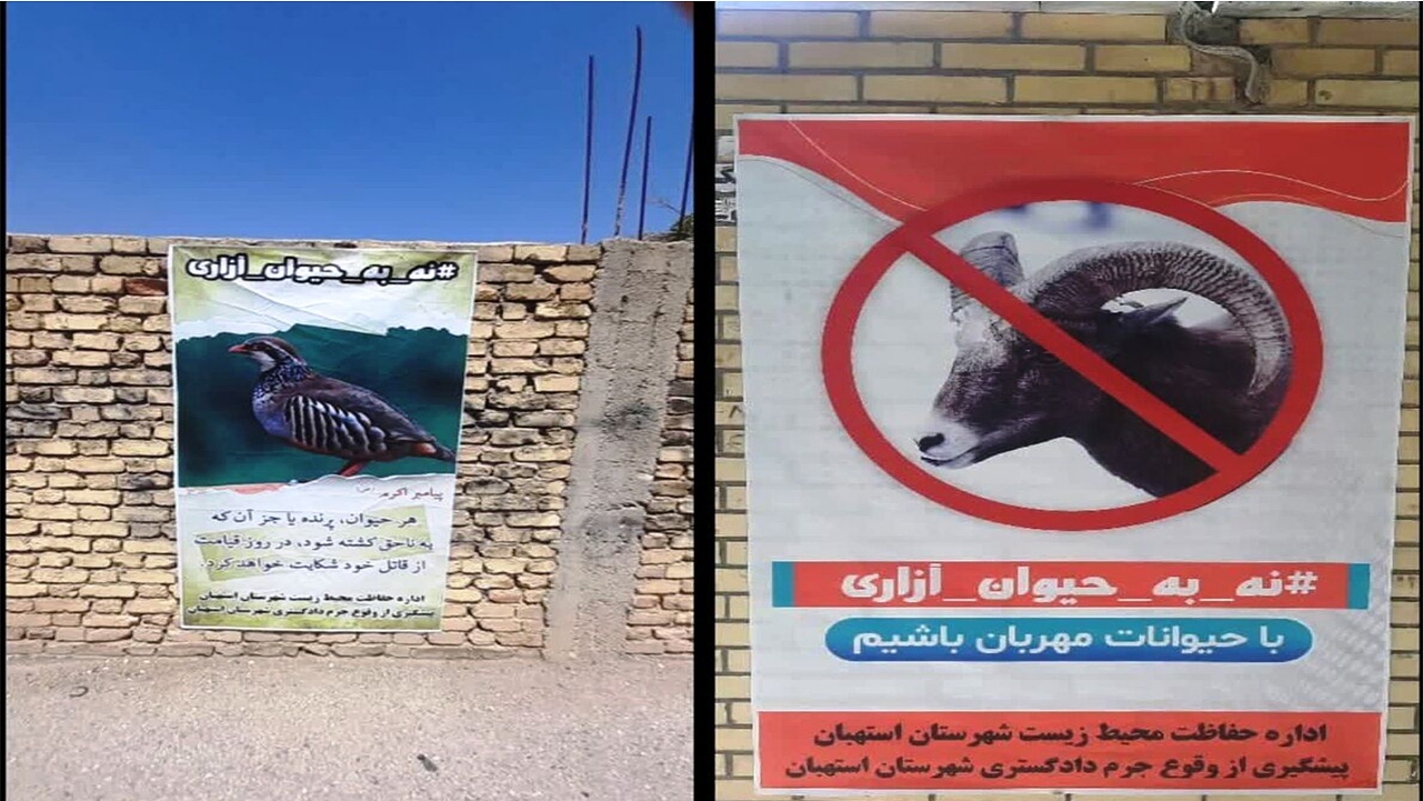نصب بنر، رای متفاوت قاضی پرونده حیوان آزاری در استهبان