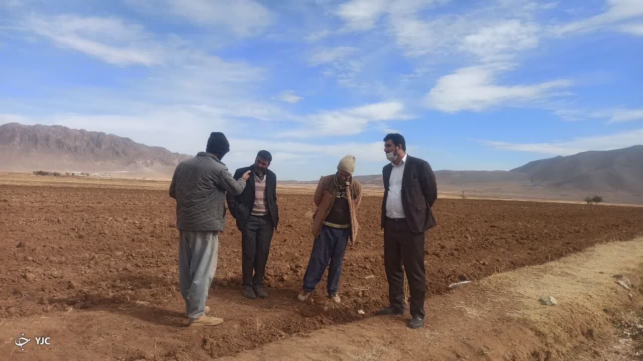 کشت گیاه روغنی کاملینا برای نخستین بار در شهرستان بِن