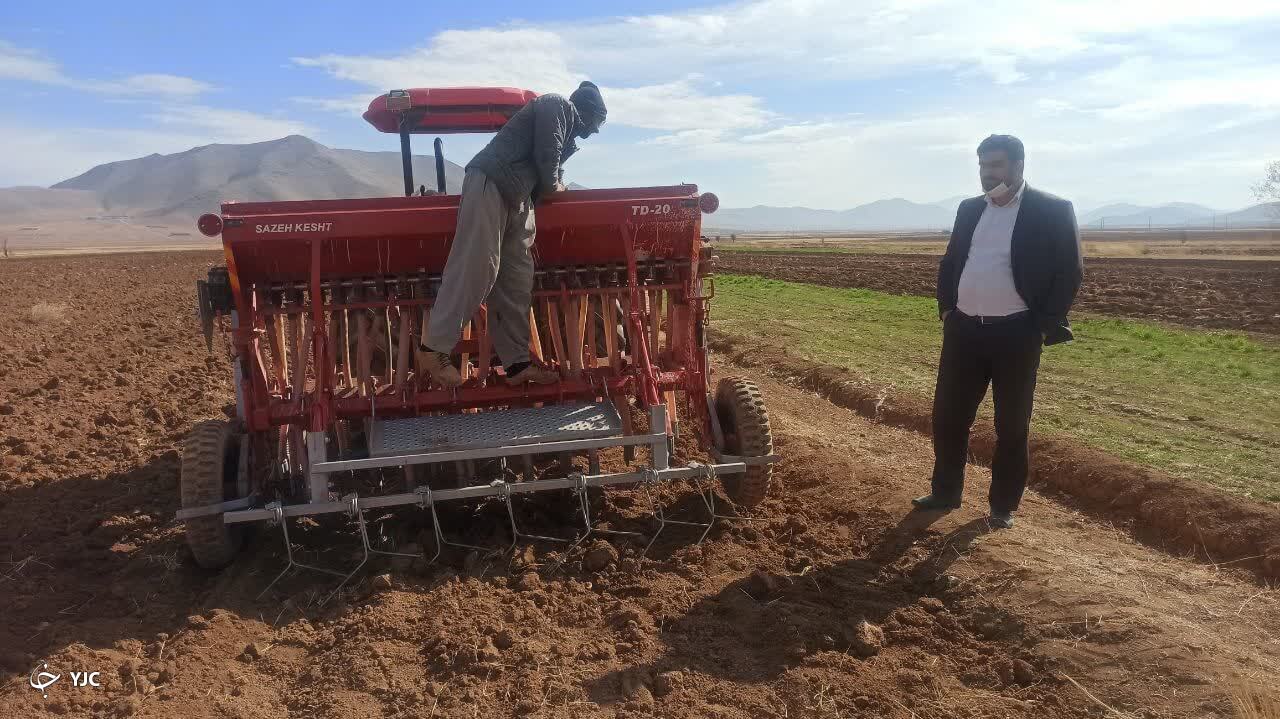کشت گیاه روغنی کاملینا برای نخستین بار در شهرستان بِن