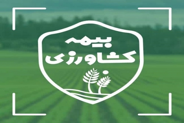 لزوم بیمه محصولات کشاورزی با توجه به شرایط اقلیمی خاص استان