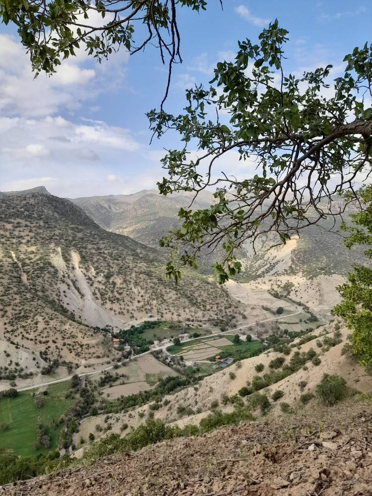 تصاویر پاییزی شهروندخبرنگارها از اقصی نقاط کشور